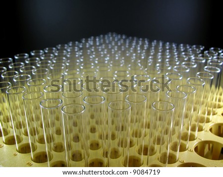 A rack of test tubes on automatic fraction collector.
