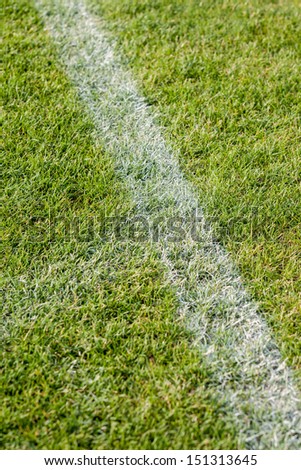 The line on the grass on the football pitch
