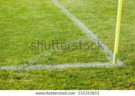 The line on the grass on the football pitch