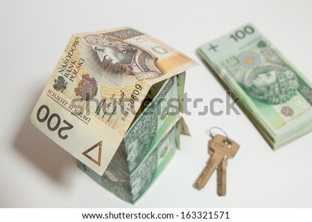 The concept of building a house, the Polish currency