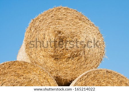 Golden hay bale collected