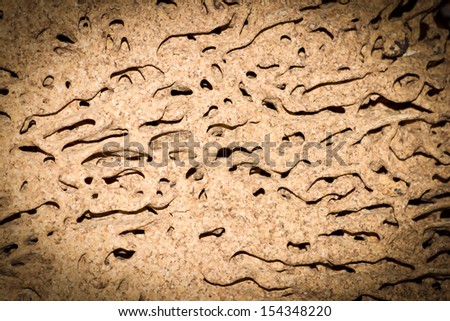 Closeup of texture of termite damaged wood.