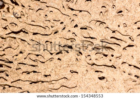 Closeup of texture of termite damaged wood.