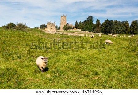 St James Church seen across meadow with sheep in old Cotswold town of Chipping Campden