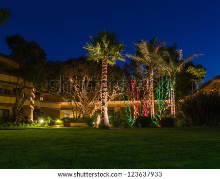Palm trees in garden of hotel decorated with christmas lights in early evening