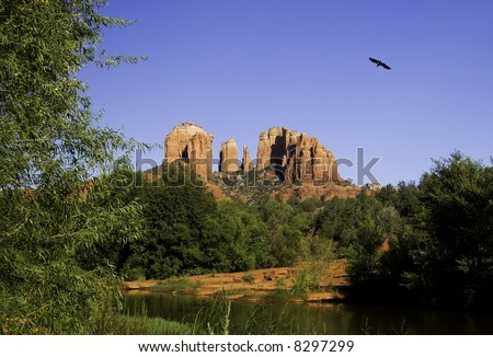View of Cathedral Rocks in Sedona with water in foreground and bird soaring