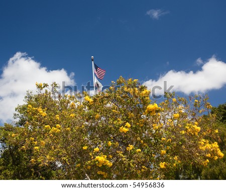 Flag in the center of the Plaza in old town San Diego behind yellow flowers