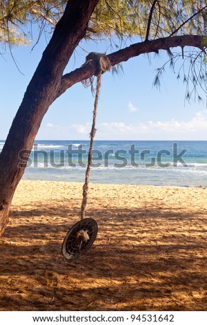 Rope swing from branch of tree on sandy beach by blue ocean