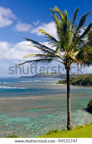 Palm tree frames sealodge and anini beach in Kauai with Kilauea lighthouse