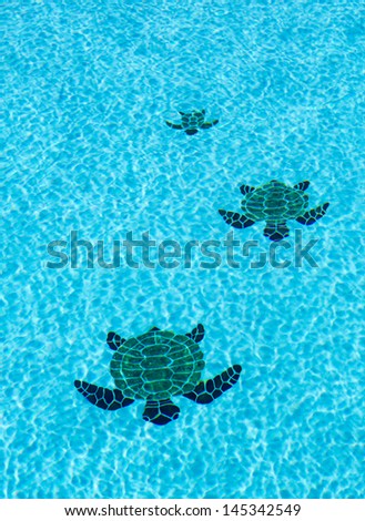 Three tiled turtles on the floor of a swimming pool apparently moving towards the camera with ripples on surface of water