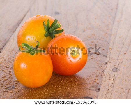 Macro close up of three organic tomatoes on an outdoor wooden table or bench and covered with light rain or dew to show they are just picked from plant