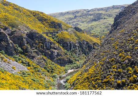 Railway track of Taieri Gorge tourist railway runs alongside a ravine with bridges and tunnels on its journey up the valley