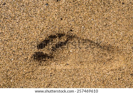 Close up of a single  foot or footprint of a right foot set deeply into sand