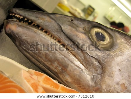 fish head with fierce looking teeth at the fresh fish market.