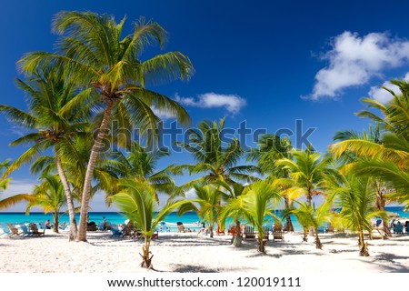 Tropical Beach, Saona Island, Dominican Republic