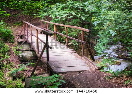Bridge in a deep forest / This small bridge was photographed in a place named Obanya. It is a nature reserve in Hungary, the county of Baranya, Mecsek mountain.