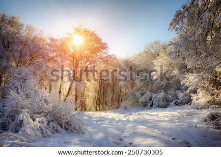 Winter landscape with sunset / This image was created with HDR (high dynamic range) technology