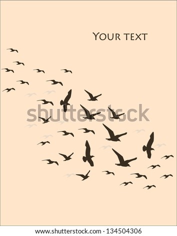 Silhouettes Of Flying Birds, Vector Illustration