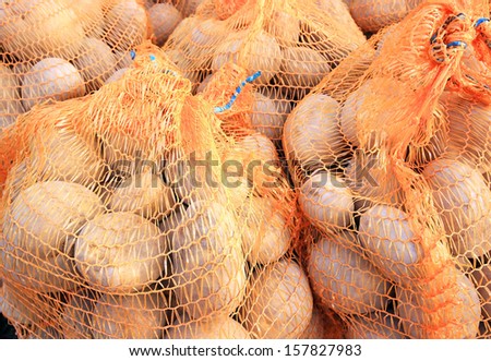 Potatoes in bags