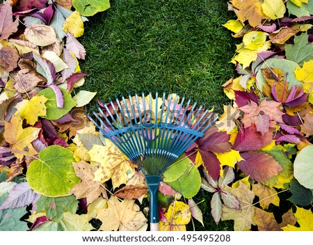 Rake on a wooden stick and Colored  autumn foliage. Collecting grass clippings. Garden tools.