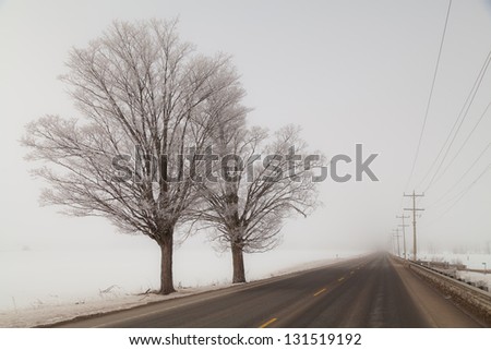 Foggy winter road, in Northern Ontario countryside.