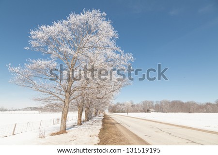 Sunny winter road, in Northern Ontario countryside.