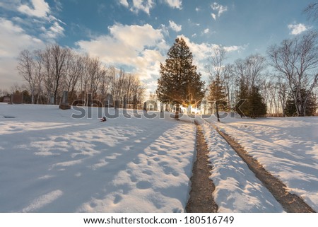 Path on snow covered grave yard