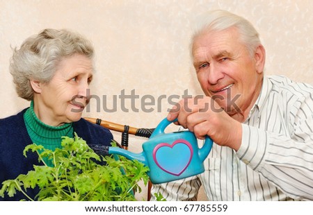 happy elderly couple pour to water indoor plant