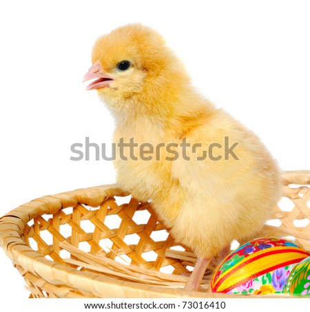 Chicken In Basket