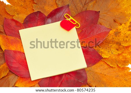 record chart on fall leafs, isolated on white background