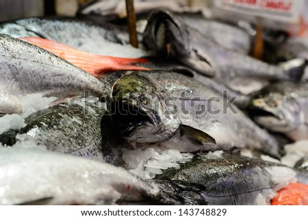 Close up of King salmon on market stand
