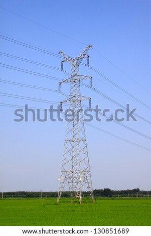 crops and electric tower under the blue sky, North China Plain, China