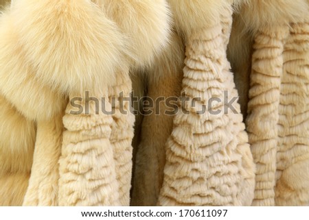 Well-organized fur clothing in a shop, north china