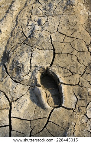 Footprints on the earth, closeup of photo