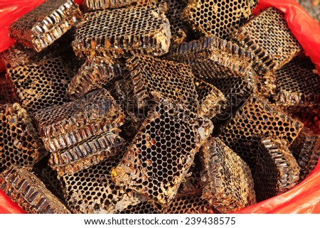 Honeycomb debris piled up together, closeup of photo