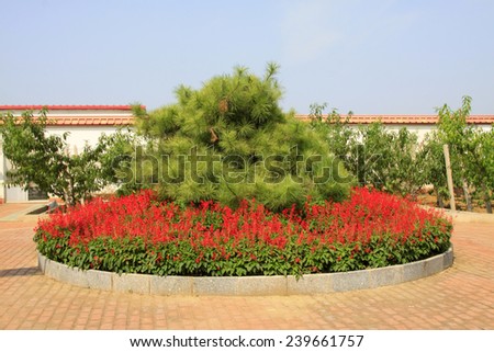 Flower bed landscape architecture in a park, closeup of photo