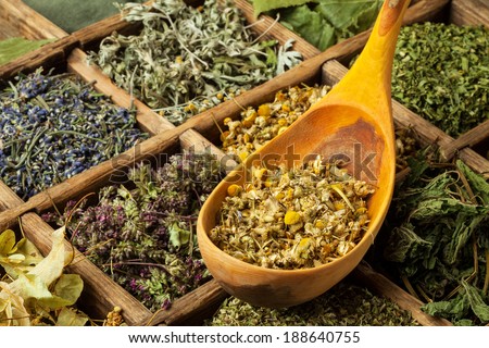 Assorted dried medical herbs tea.