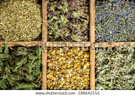 Assorted natural medical  dried herbs.