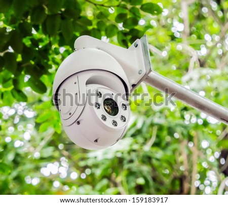CCTV security camera on green trees at the back