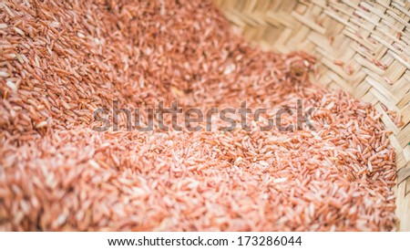 Brown raw rice agricultural product harvested in the basket