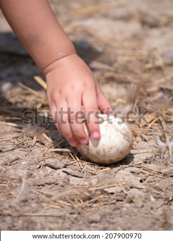 Child\'s hand picking up an egg laid on the ground abstract of learning the nature