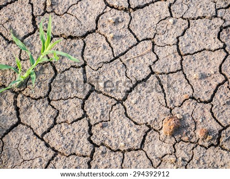 Dry cracked ground with some stone and grass able to use in concept of hot weather