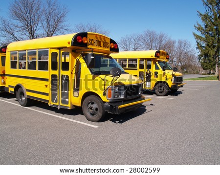 front view of two short yellow school buses