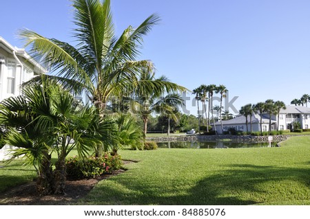 Palm trees by a lush green lawn at a resort in Naples, Florida