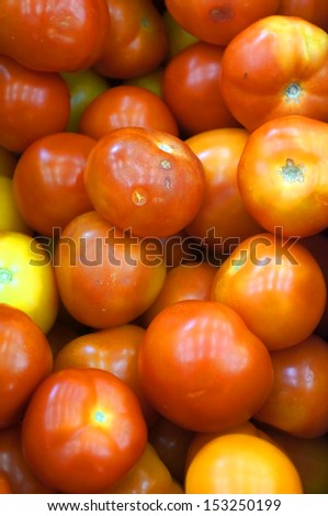 The tomato is the edible, often red fruit of the plant Solanum lycopersicum, commonly known as a tomato plant