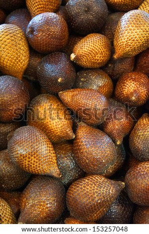 Salak (Salacca zalacca) is a species of palm tree (family Arecaceae) native to Indonesia, Brunei and Malaysia. It is a very short-stemmed palm, with leaves up to 6 metres (20 ft) long.