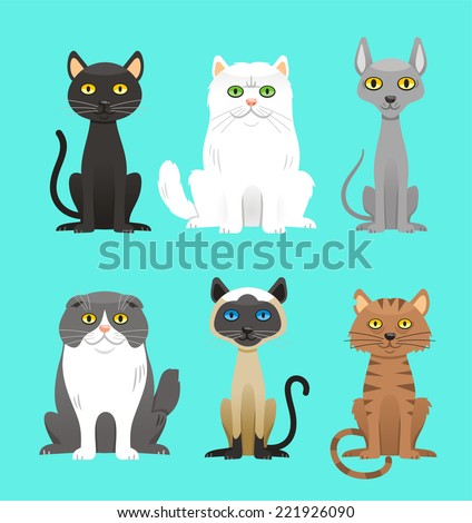 Cat Breed Set, with black cat, white cat, grey cat, grey and white cat, brown and black act, brown cat. Vector Illustration Cartoon.