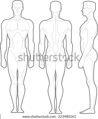Male Body Standing Anatomical Figure vector illustration cartoon Male Body Standing Anatomical Figure vector illustration cartoon