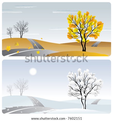 landscape with tree & road in winter & autumn season