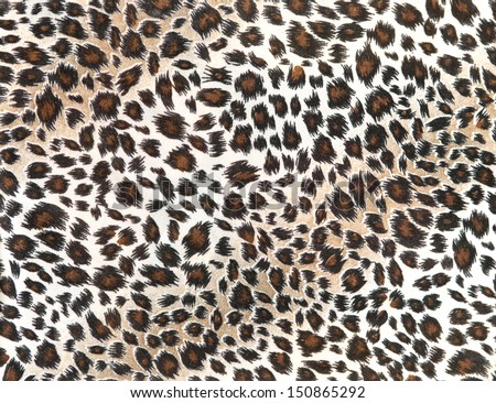 Leopard Tiger Skin Texture Background